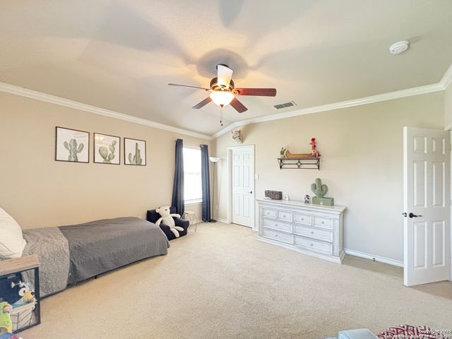 28103 George Obrien, San Antonio, TX 78260