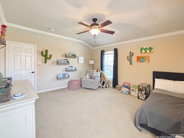 28103 George Obrien, San Antonio, TX 78260