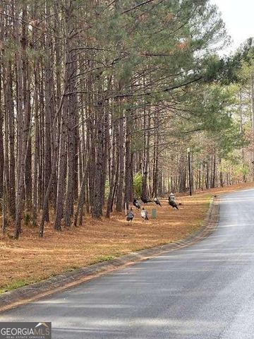 124 Hawks Court, Ball Ground, GA 30107