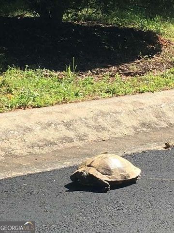 124 Hawks Court, Ball Ground, GA 30107