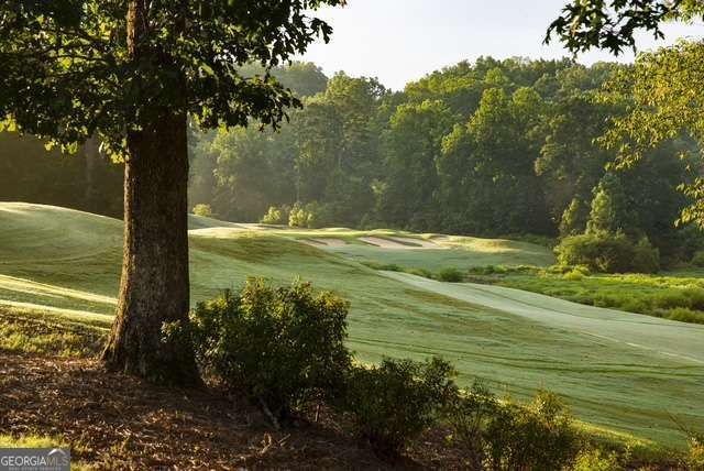 124 Hawks Court, Ball Ground, GA 30107