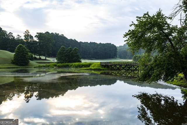 124 Hawks Court, Ball Ground, GA 30107