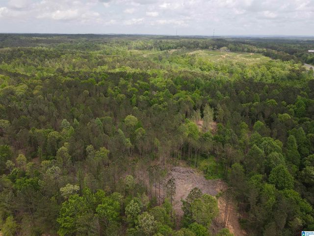 0 HIGHWAY 9, Heflin, AL 36264