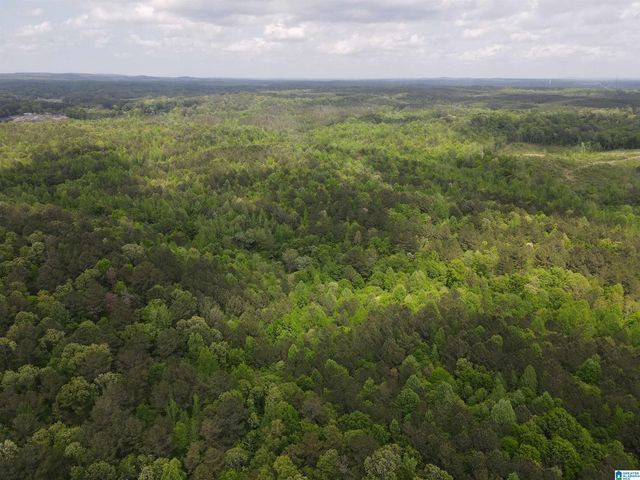 0 HIGHWAY 9, Heflin, AL 36264