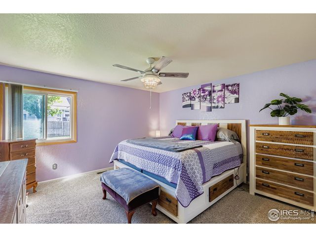 121 Chestnut St, Windsor, CO 80550