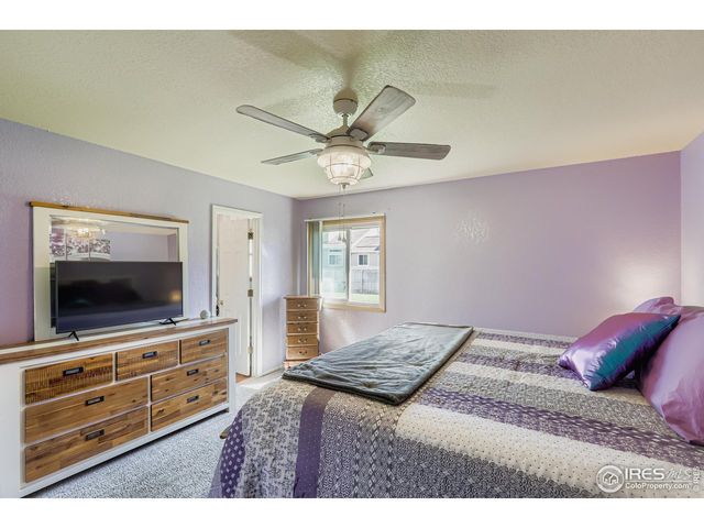 121 Chestnut St, Windsor, CO 80550