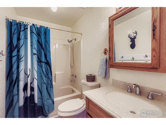 121 Chestnut St, Windsor, CO 80550