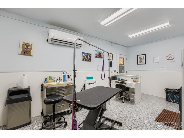 121 Chestnut St, Windsor, CO 80550