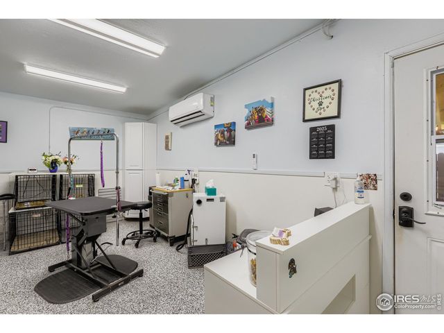 121 Chestnut St, Windsor, CO 80550