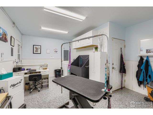 121 Chestnut St, Windsor, CO 80550