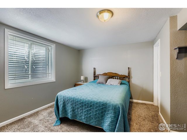 121 Chestnut St, Windsor, CO 80550