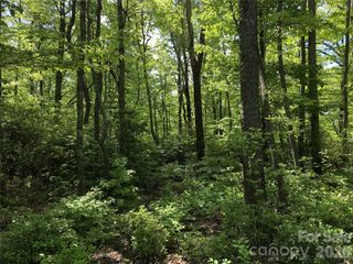 000 Millard Crossing 18, Hendersonville, NC 28792
