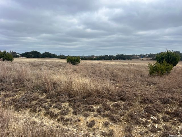 220 Peter Kleid, Blanco, TX 78606