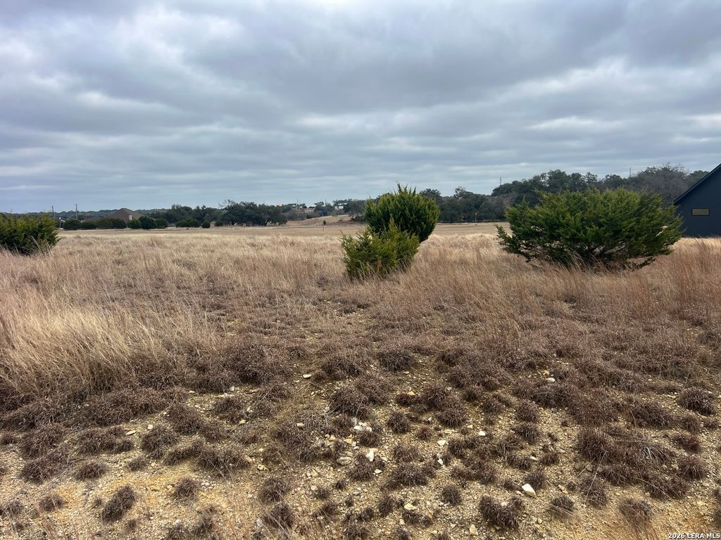 220 Peter Kleid, Blanco, TX 78606