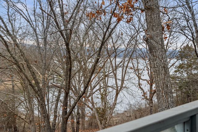 25 Palomino Court, Lampe, MO 65681