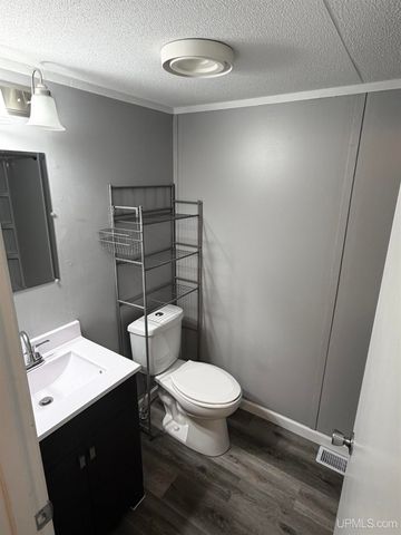 E3807 Louds Spur Road, Chatham, MI 49816