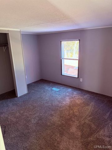 E3807 Louds Spur Road, Chatham, MI 49816