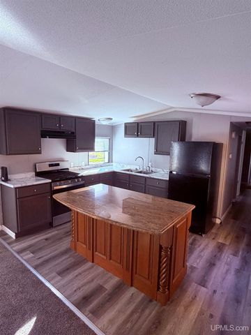 E3807 Louds Spur Road, Chatham, MI 49816