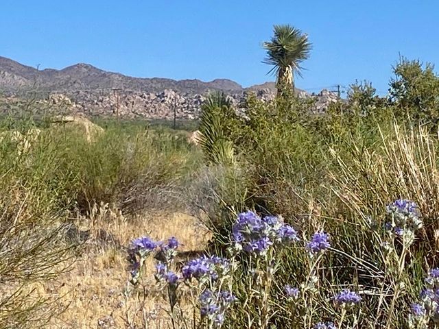 108 Riverside Drive, Pioneertown, CA 92268
