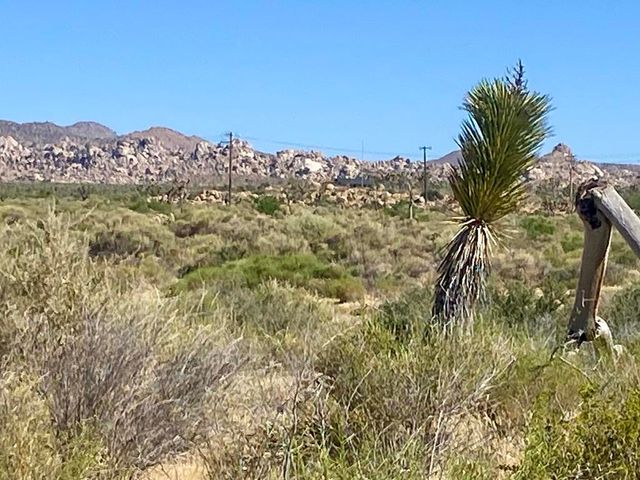 108 Riverside Drive, Pioneertown, CA 92268