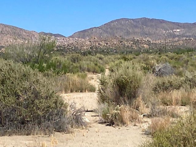 108 Riverside Drive, Pioneertown, CA 92268