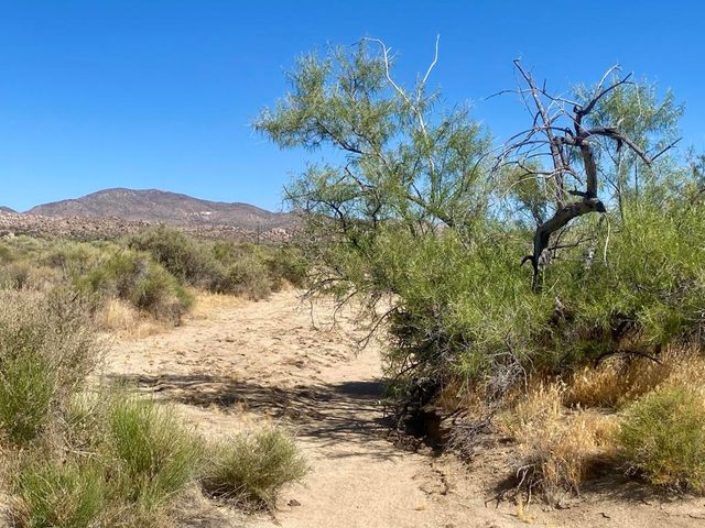 108 Riverside Drive, Pioneertown, CA 92268