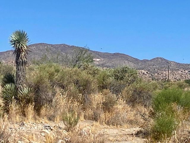 108 Riverside Drive, Pioneertown, CA 92268