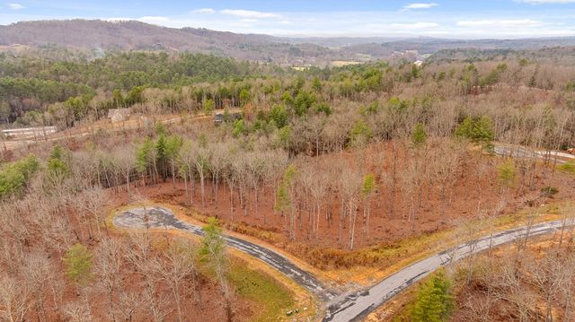 Lot 99 South Wind Court, Morganton, GA 30560