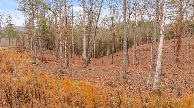 Lot 99 South Wind Court, Morganton, GA 30560