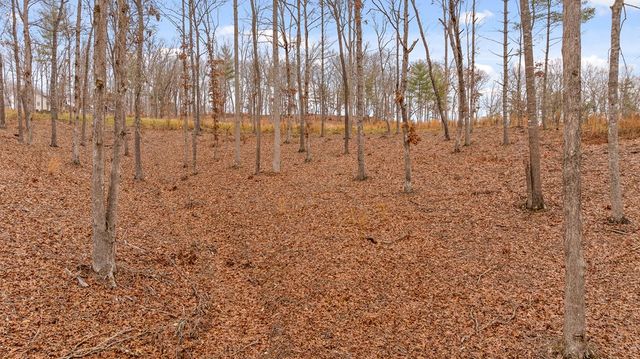 Lot 99 South Wind Court, Morganton, GA 30560