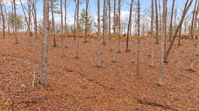 Lot 99 South Wind Court, Morganton, GA 30560