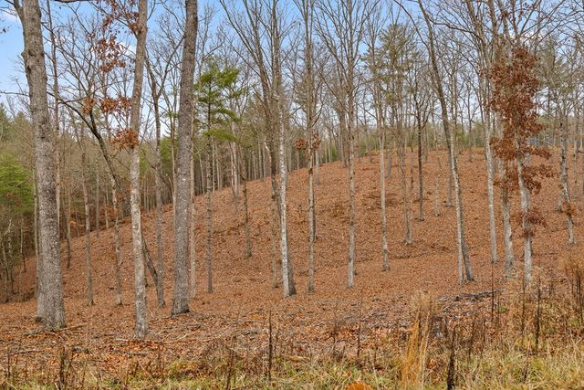 Lot 99 South Wind Court, Morganton, GA 30560