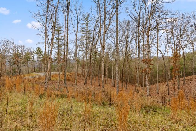 Lot 99 South Wind Court, Morganton, GA 30560