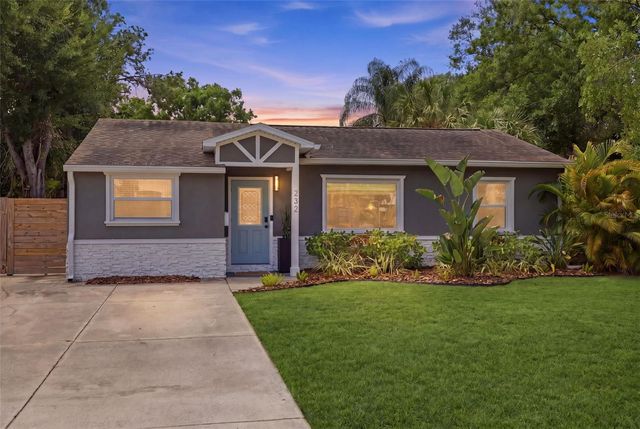 232 42ND AVENUE NE, St Petersburg, FL 33703
