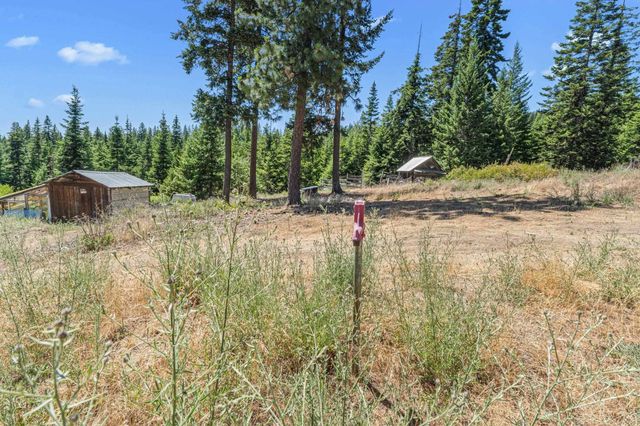 1022 Spring Hill Rd, Newport, WA 99156