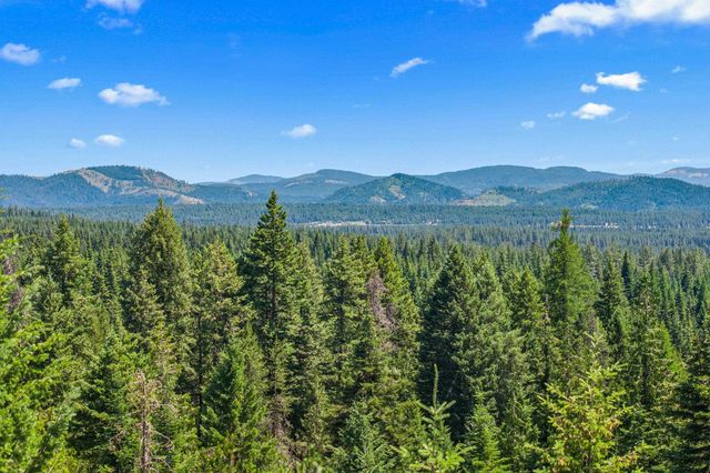 1022 Spring Hill Rd, Newport, WA 99156