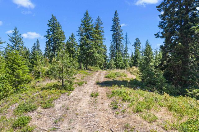 1022 Spring Hill Rd, Newport, WA 99156