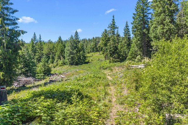 1022 Spring Hill Rd, Newport, WA 99156