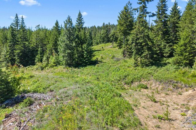 1022 Spring Hill Rd, Newport, WA 99156