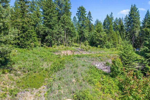 1022 Spring Hill Rd, Newport, WA 99156