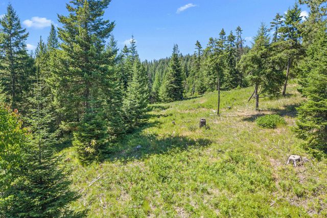 1022 Spring Hill Rd, Newport, WA 99156