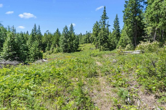 1022 Spring Hill Rd, Newport, WA 99156