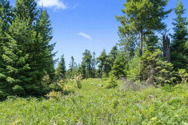 1022 Spring Hill Rd, Newport, WA 99156