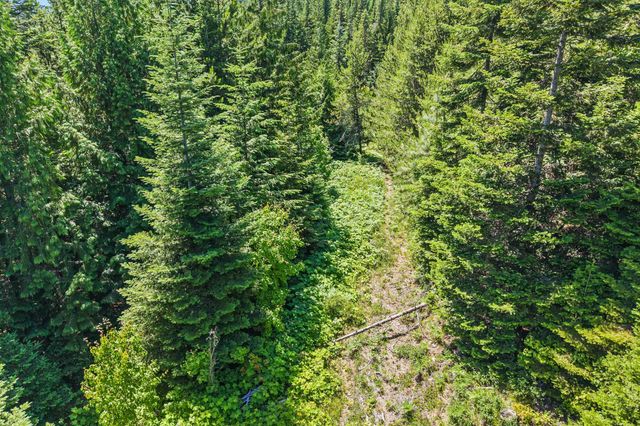 1022 Spring Hill Rd, Newport, WA 99156