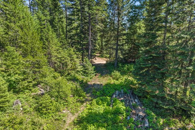 1022 Spring Hill Rd, Newport, WA 99156