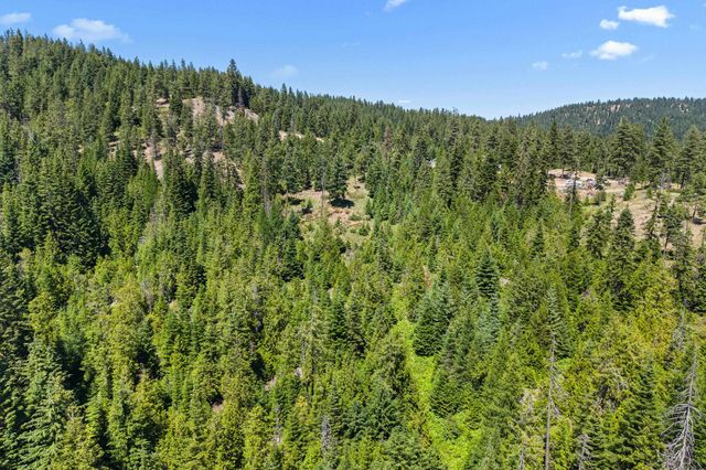 1022 Spring Hill Rd, Newport, WA 99156