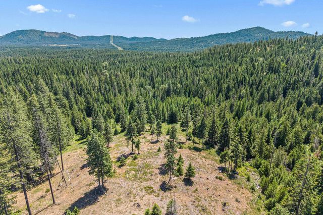 1022 Spring Hill Rd, Newport, WA 99156