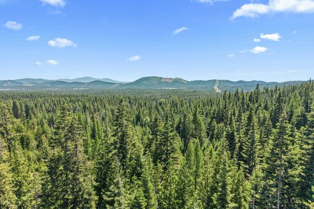 1022 Spring Hill Rd, Newport, WA 99156