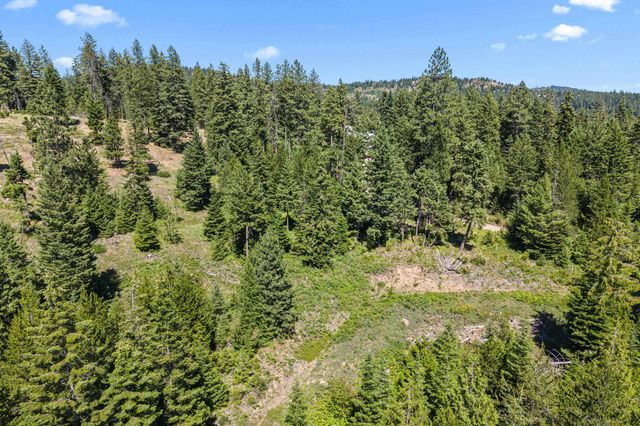 1022 Spring Hill Rd, Newport, WA 99156