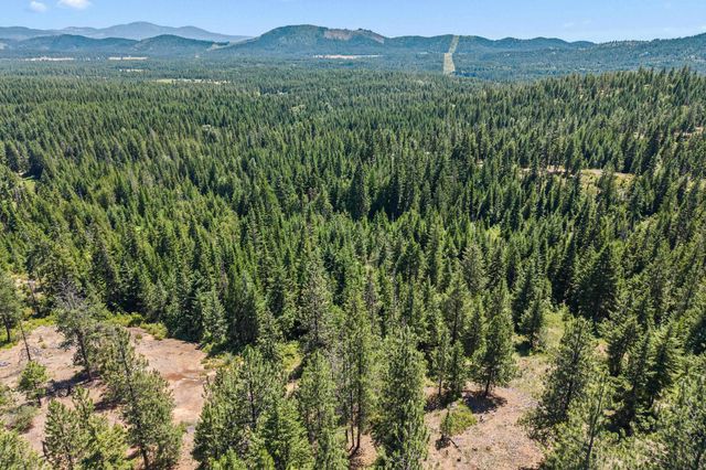 1022 Spring Hill Rd, Newport, WA 99156